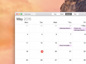 Mac OS X Calendar Screenshot